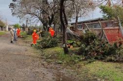 Más de 20 efectivos del Ejército local están desplegados para la recuperación de Salto