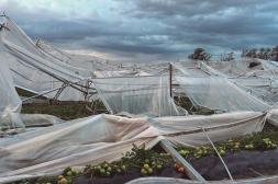 Látidos; Destrozo de invernáculos, UBA 5 cerrada y más...
