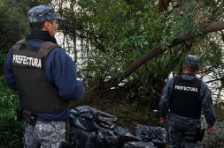 Contrabandistas arrojaron 80 mil cigarrillos  a la costa de Salto y huyeron hacia Argentina