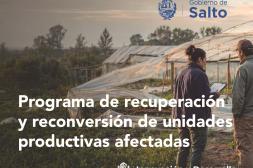 Gobierno de Salto activa una respuesta técnica, caso a caso, para productores afectados por la tormenta