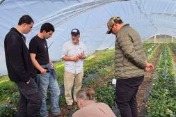 Estudiantes y docentes profundizan  experticia en investigación hortícola