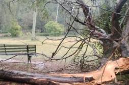El Parque Benito Solari quedó  devastado y con graves daños 
