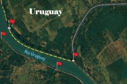 CARU establece veda de pesca del surubí  pintado en 4 kilómetros del río Uruguay