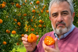 Horacio de Brum tras el impacto del granizo en Salto: "Debemos buscar respuestas y apoyo para quienes fueron afectados"