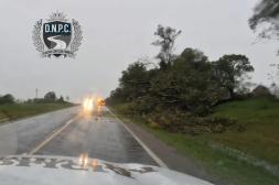 Caminera informó cuáles son  las rutas nacionales obstruidas 