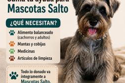 Buscan brindar ayuda y nuevas oportunidades a animales rescatados en Salto mediante una gran campaña solidaria