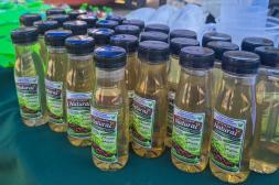 Intendencia avanza en acciones ambientales con el reciclaje y un novedoso fertilizante en base a yerba y cáscaras de frutas