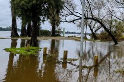 El puerto de Salto  prevé leve descenso  con máximo de 10,60