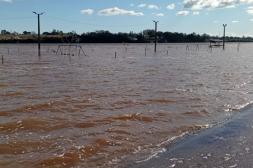 Río Uruguay comenzó a descender y  no registraron evacuaciones en Salto