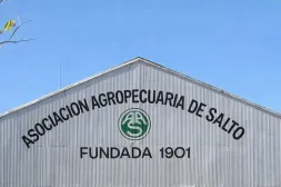 Hoy jueves la Agropecuaria de Jóvenes de Salto realizará una nueva jornada joven