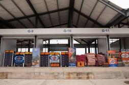 El clima inestable frena la comercialización hortaliza en la Central Hortícola del Norte con cotizaciones estables