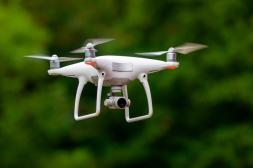 Inquietud en residentes de colonia El Chircal ante presencia  de un dron sospechoso que sobrevoló amplia zona de chacras