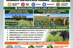 Claves para potenciar la ganadería del norte frente al fenómeno de "El Niño"