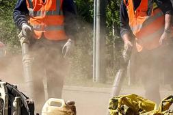 Latidos: Obras en marcha, Pasto alto, Mala actitud y más...