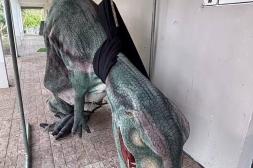 Recuperaron sin cargo el disfraz de Tiranosaurio Rex hurtado en Salto