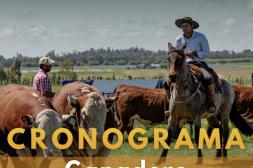 La Asociación Agropecuaria de Salto presentó el cronograma ganadero oficial para la nueva edición de la Expo Salto 2026