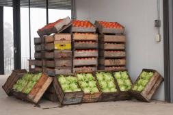 Jornada de ágil comercialización y estabilidad de precios marca la operativa en la CHN