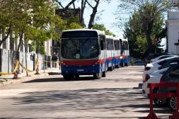 Gobierno de Salto presentó seis ómnibus  de los 12 adquiridos para renovar la flota
