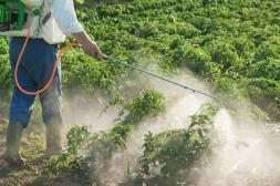Ambientalistas de la región ponen bajo la lupa el impacto del uso de agroquímicos en cultivos e impactos en la vida humana