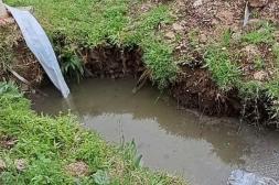 Latidos: Entre aguas servidas, Hace 50 años que pasa y más...