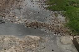 Latidos: Pasados por agua, Llamada engañosa y más...