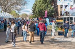 Servicio especial de ómnibus  para Expo Salto este domingo
