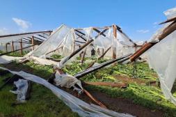  Aumenta el enojo de los productores de Salto con el gobierno por la falta de fondos tras el temporal 