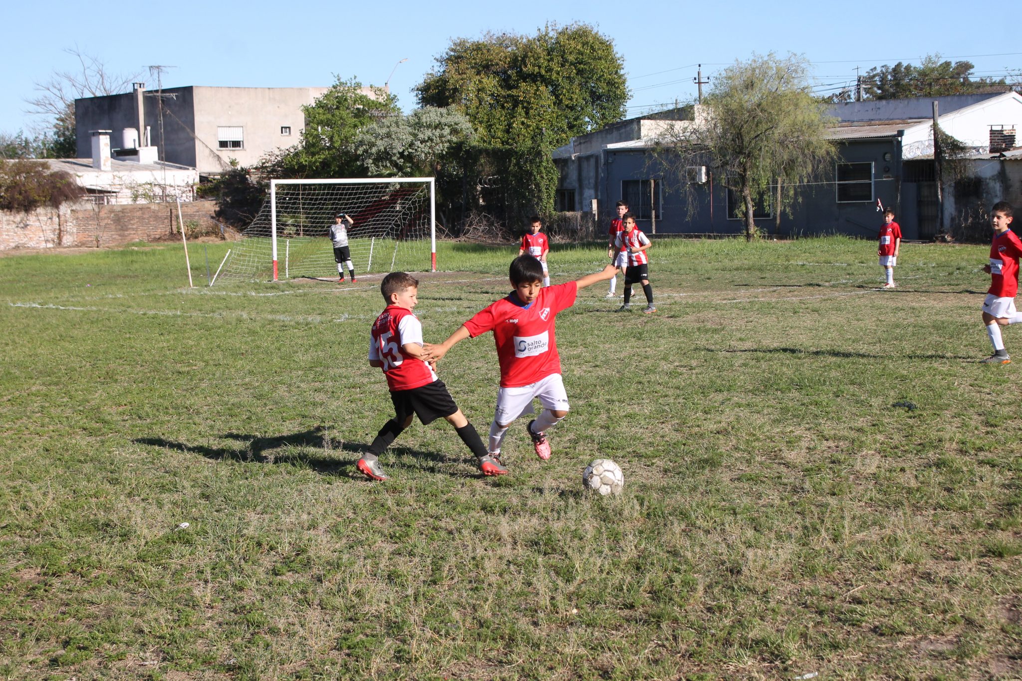 Baby fútbol, un fenómeno social con plataforma deportiva - Diario El Pueblo  - Salto Uruguay