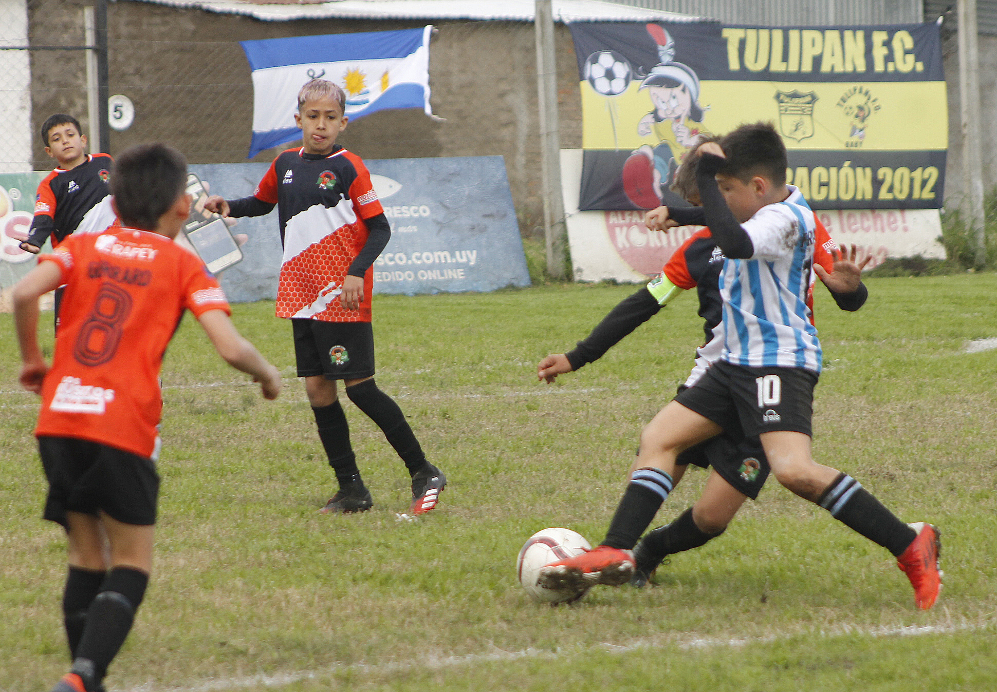 Baby fútbol, un fenómeno social con plataforma deportiva - Diario El Pueblo  - Salto Uruguay