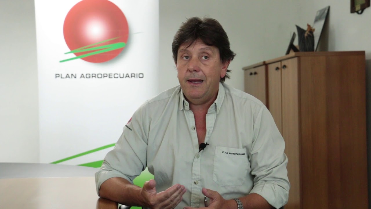 Marcelo Pereira: «De atrás…  el campo natural les gana»