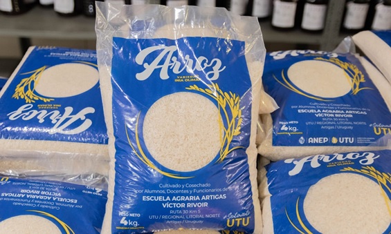 El «orgullo» de la Escuela Agraria de Artigas que abastece con su arroz a 32 centros educativos