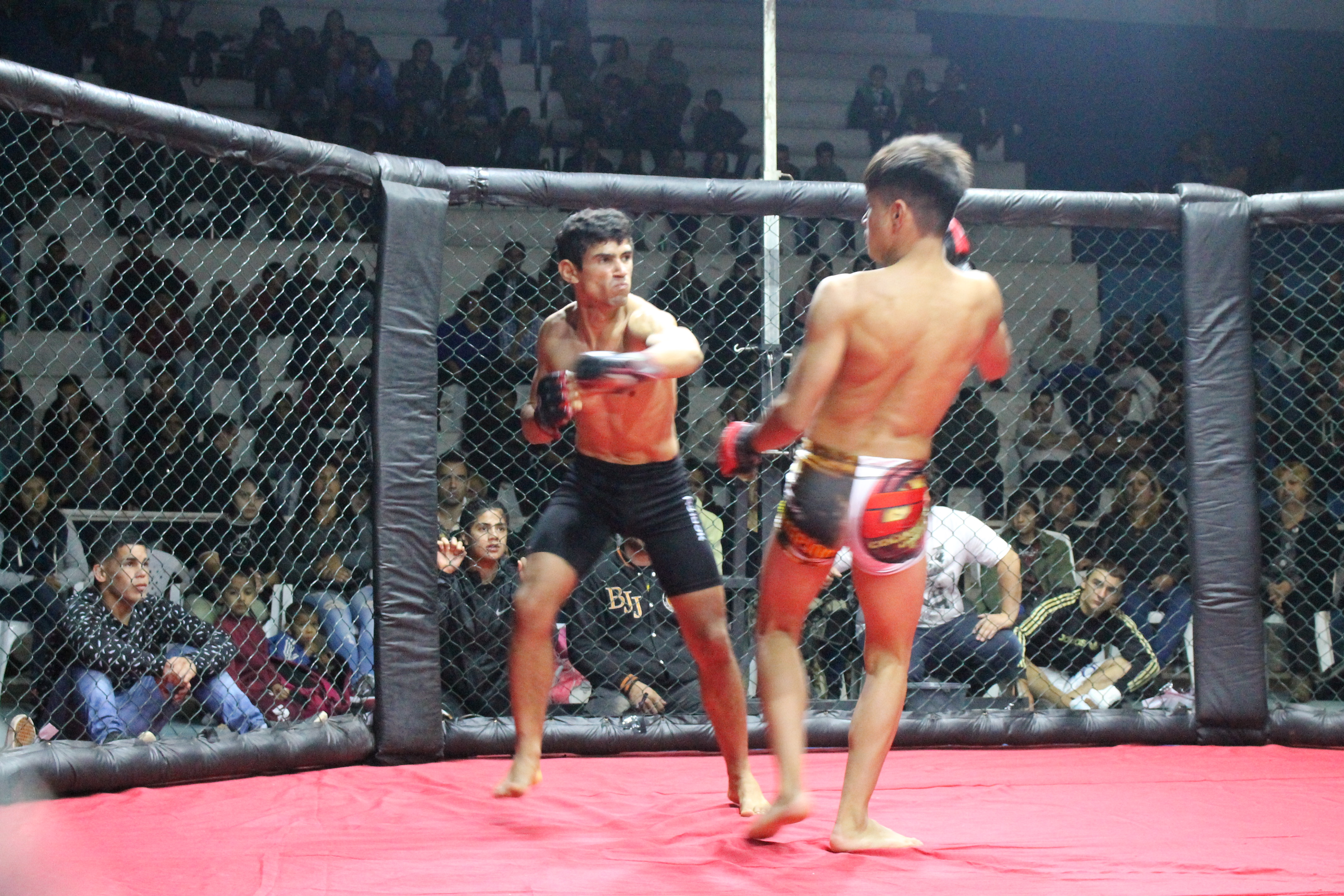 MMA: Vuelve “La Jaula” a Círculo Sportivo con  20 combates y tres títulos sudamericanos