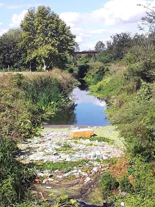 Residentes en ribera del Sauzal denuncian  el vertido de restos de cítricos en el arroyo