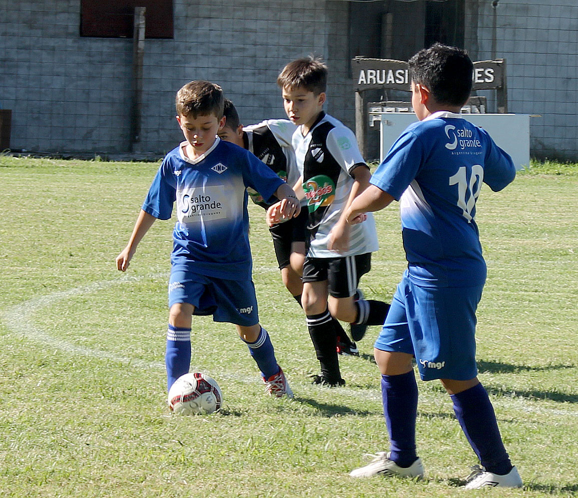 Baby Fútbol: Los campeones en cada una de las categorías - Diario Cambio  Salto : Diario Cambio Salto