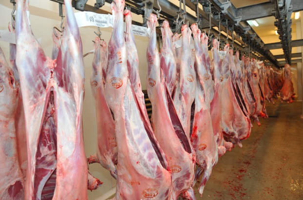 Caída en el valor promedio de la tonelada de carne vacuna y ovina