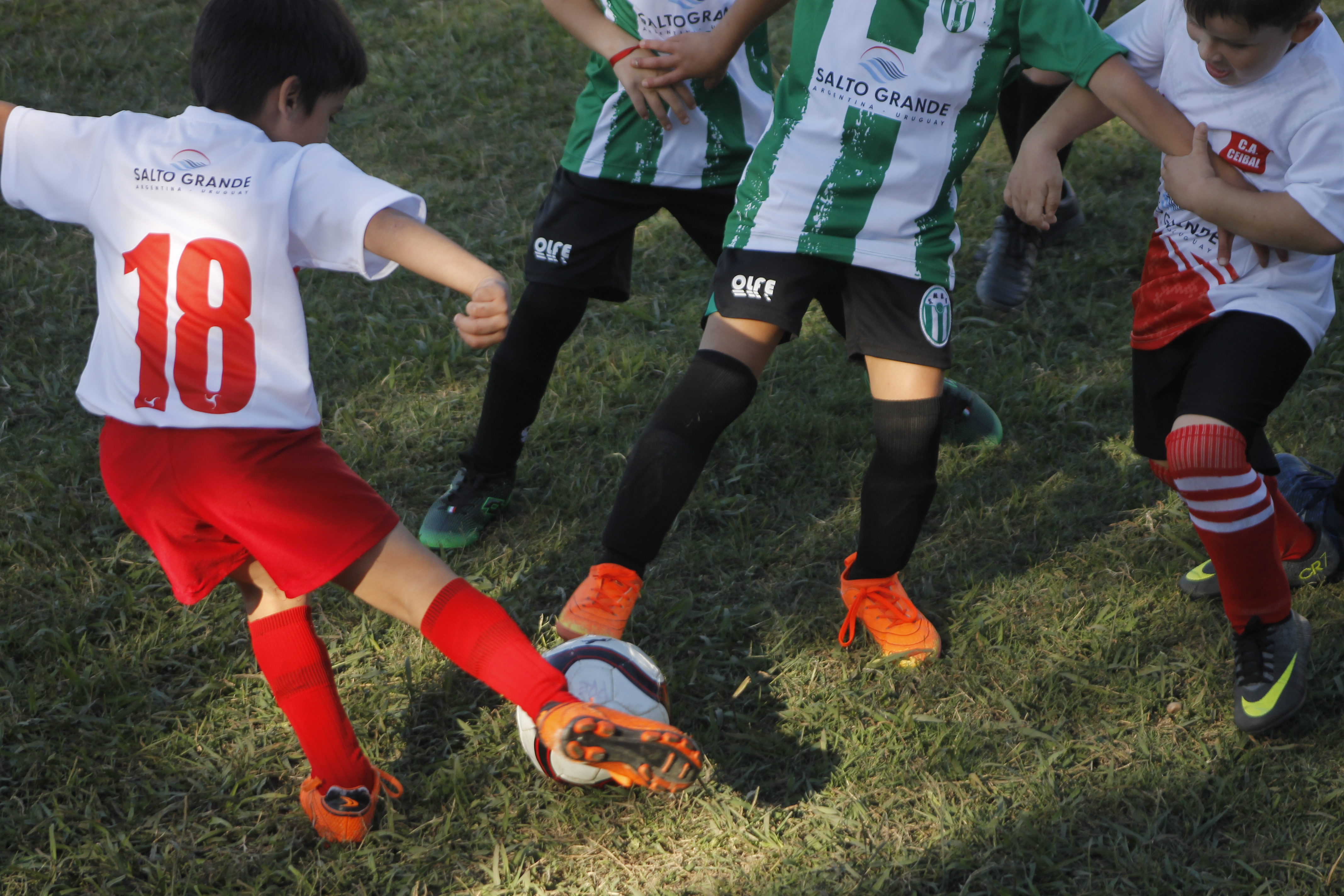 Fecha 22 del baby fútbol de 7 a 12 años - Diario Cambio Salto : Diario  Cambio Salto