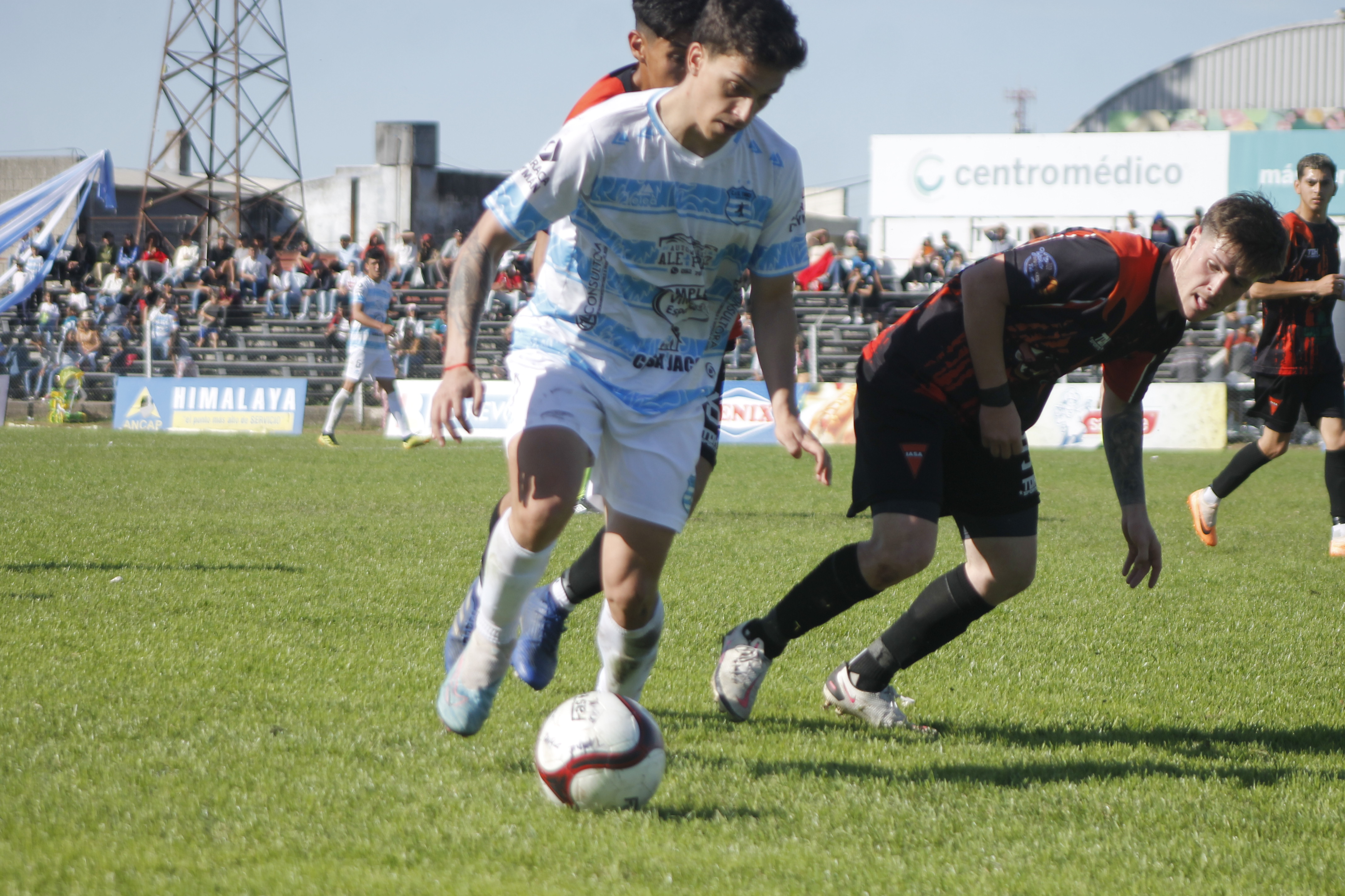 Baby Fútbol: Los campeones en cada una de las categorías - Diario Cambio  Salto : Diario Cambio Salto