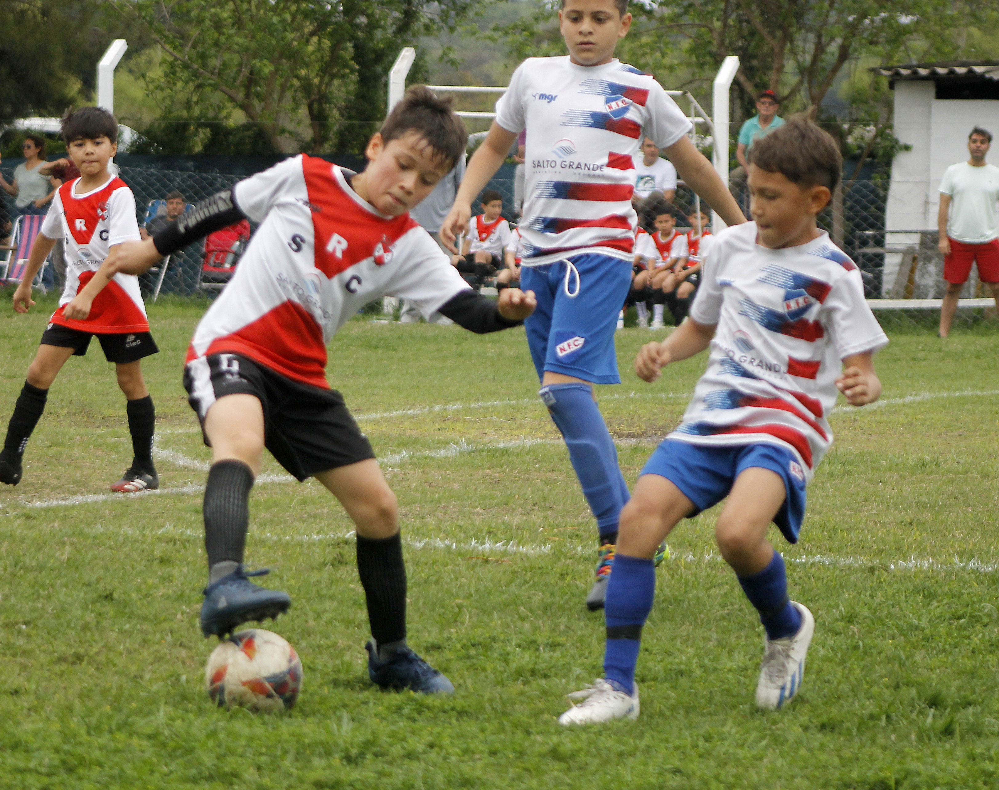 Fecha 22 del baby fútbol de 7 a 12 años - Diario Cambio Salto : Diario  Cambio Salto