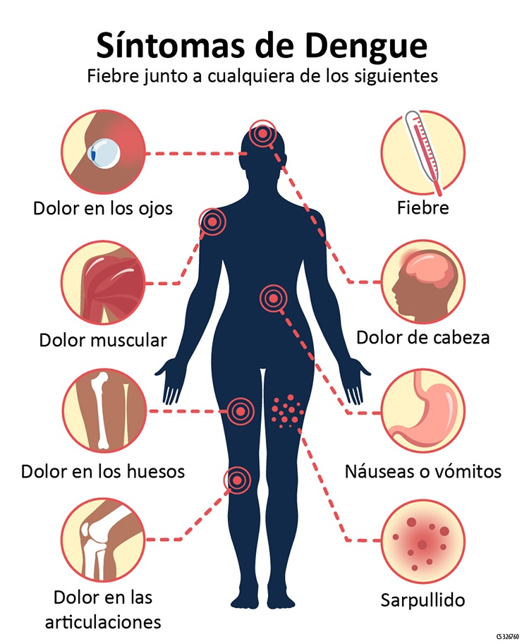 MSP confirmó caso de dengue  autóctono en Montevideo y hay  otros 32 importados en el país