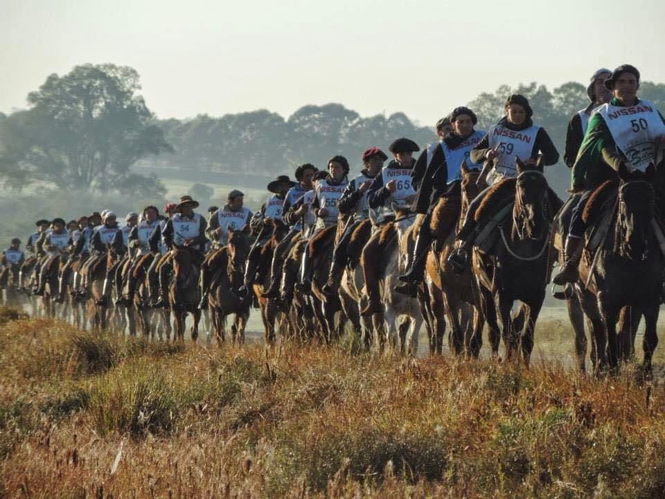 Hoy comienza la concentración de la marcha de caballos criollos en Artigas