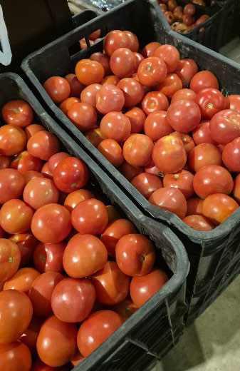Cae el precio mayorista del tomate y los morrones,  ante una mayor oferta