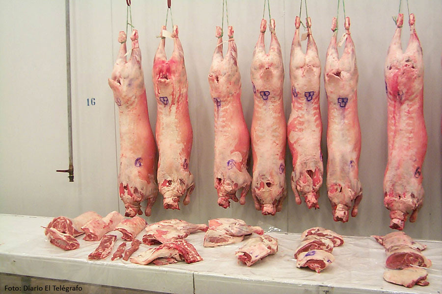 Uruguay pierde US$ 1.500 por tonelada de carne ovina por exportar sin hueso