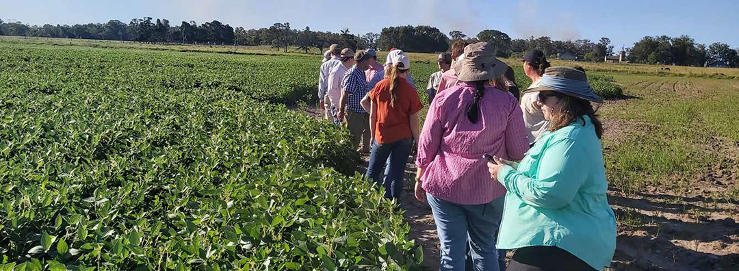La sostenibilidad en la intensificación agrícola: El caso de la soja en Uruguay