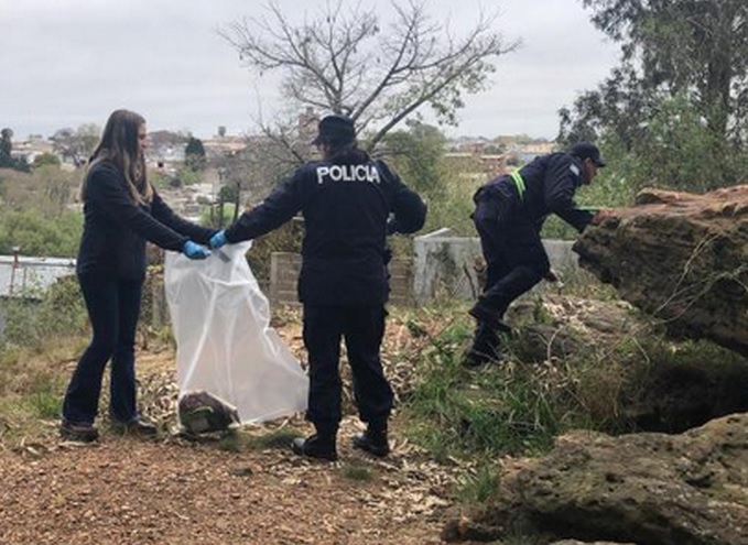 Policía Comunitaria colaboró en  limpieza del Parque Benito Solari