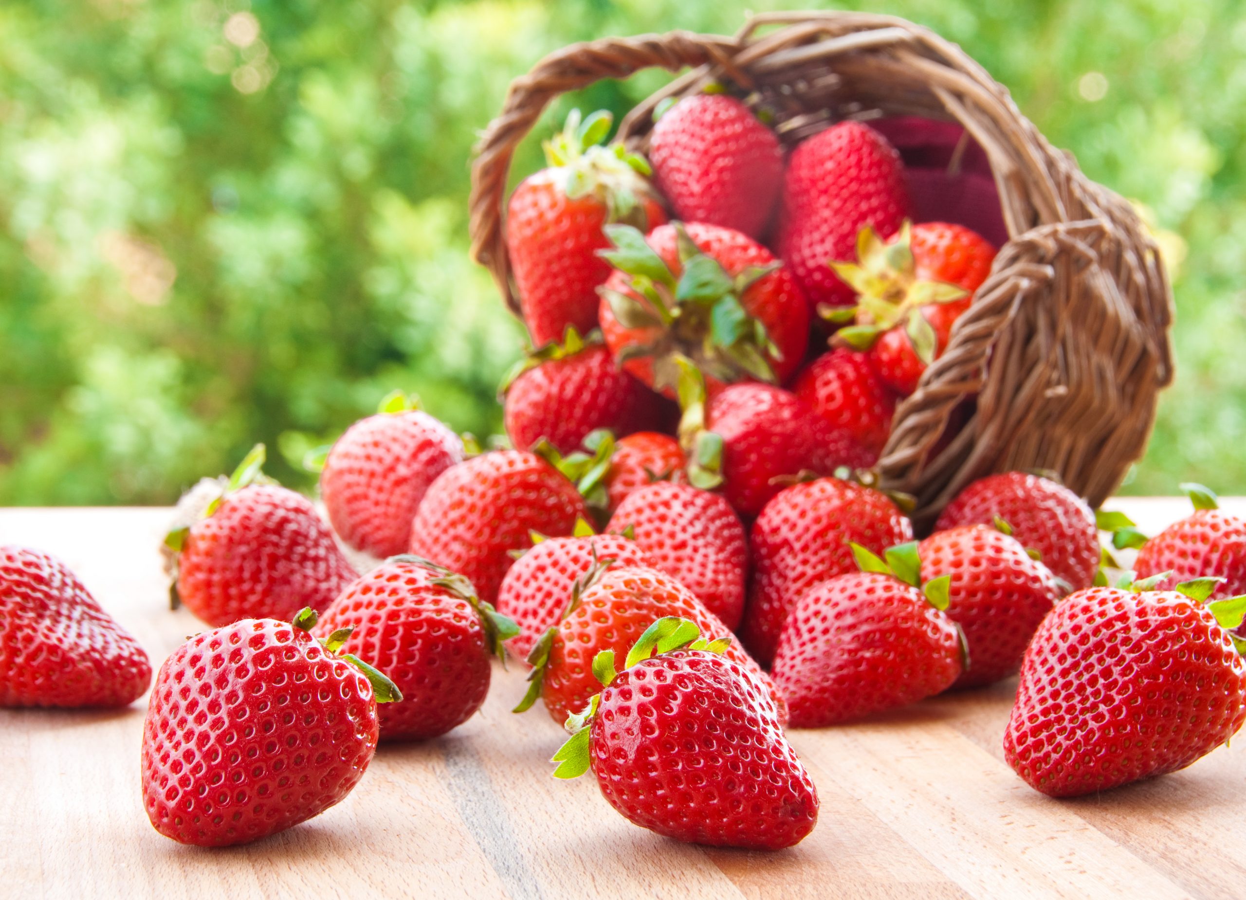 Aumenta oferta de frutillas y bajan  los precios en el mercado granjero