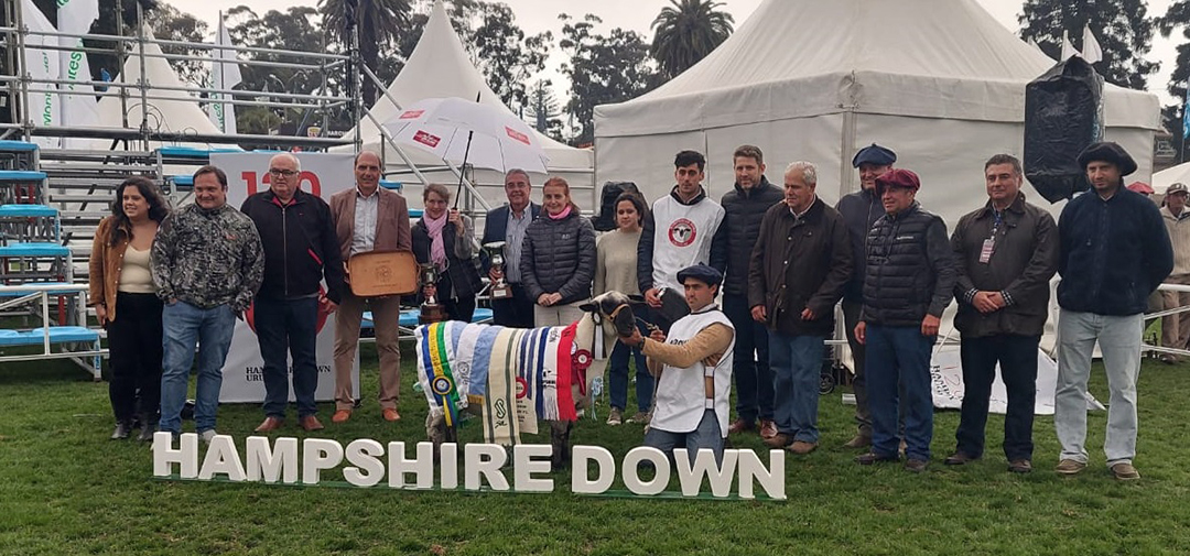 «El Esfuerzo» gano en la pista del Hampshire Down