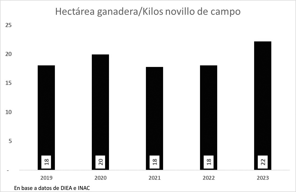 Arrendamientos de campos ganaderos aumentaron 23%  en kilos de novillo en 4ta balanza