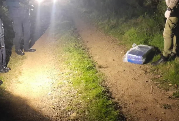 Incautan más de 18 kilos en ladrillos de marihuana en un campo de Lavalleja