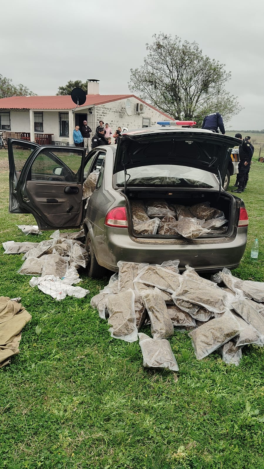 Incautaron más de 200 bolsas de sustancia vegetal en Ruta 31: hay tres detenidos