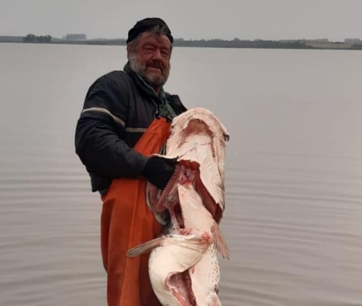 Pescador artesanal capturó un surubí de 34 kg en río Uruguay